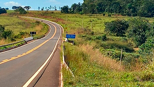Vereadores solicitam instalação de alambrados na MS-223 para proteção de motoristas e animais