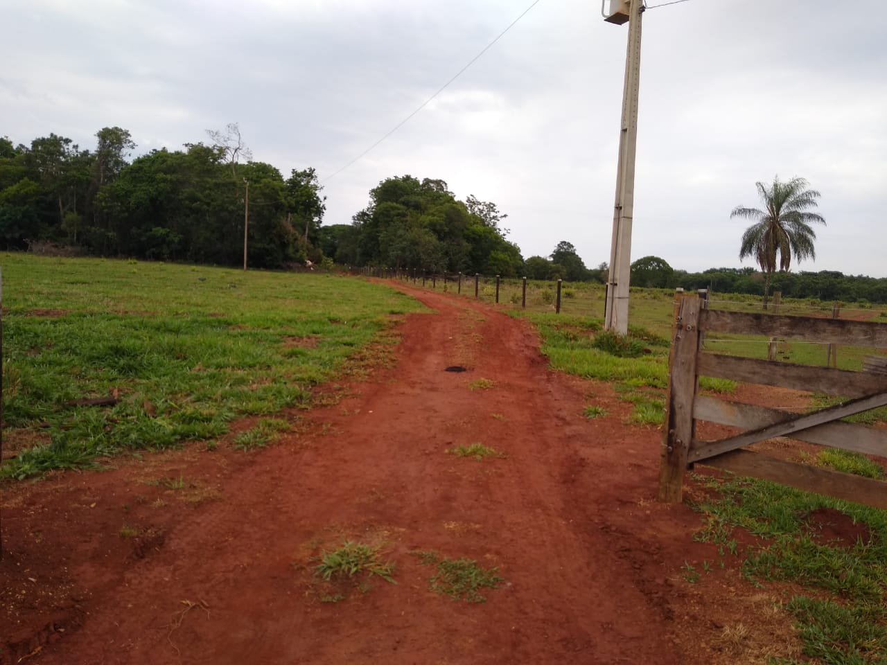 Vereador Magno Almeida solicita cascalhamento em acesso rural na região da Derci