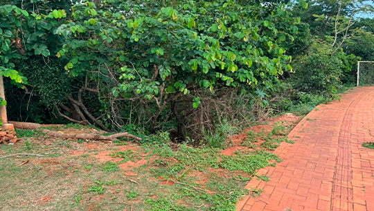 Vereador Magno Almeida solicita instalação de grade de proteção na ponte do Rio Sucuriú