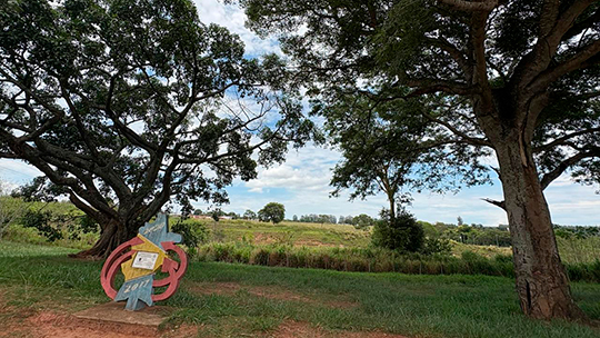 Vereadores Popó e Ailton solicitam limpeza da Praça Arindo Oliveira e em área verde no Ramez Tebet