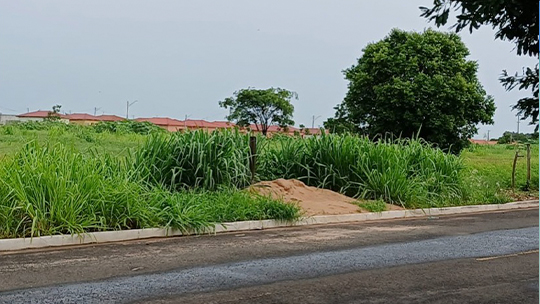 2º secretário Roseno Martins solicita roçada e limpeza no antigo lixão do Jardim Afonso II