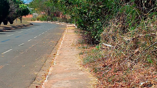 Vereador Ailton solicita alambrado e câmeras de segurança em área verde na entrada do Bairro Novo Horizonte